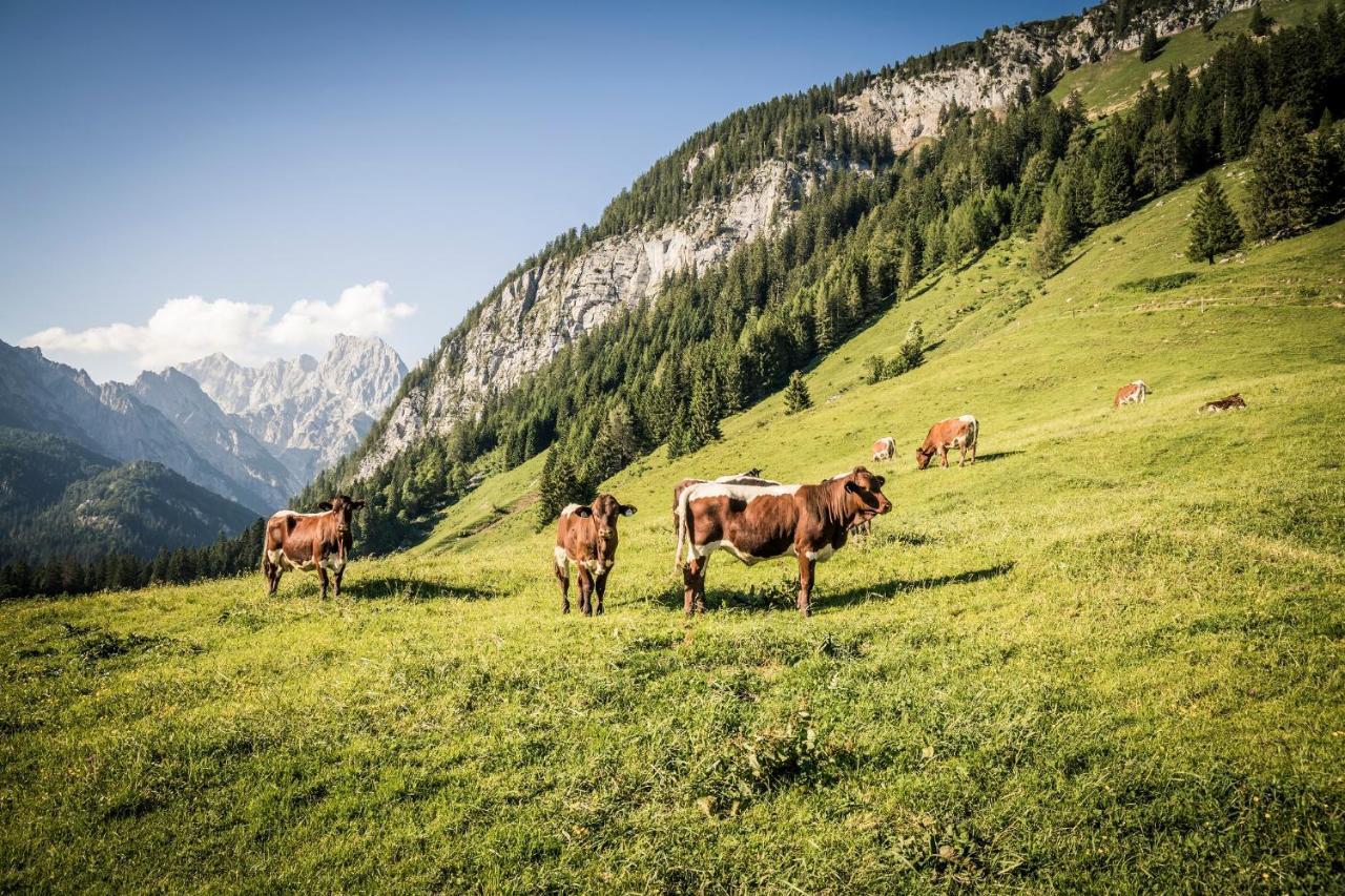 Ferienwohnung Im Gaestehaus Sieger-Brandner Ramsau bei Berchtesgaden Dış mekan fotoğraf
